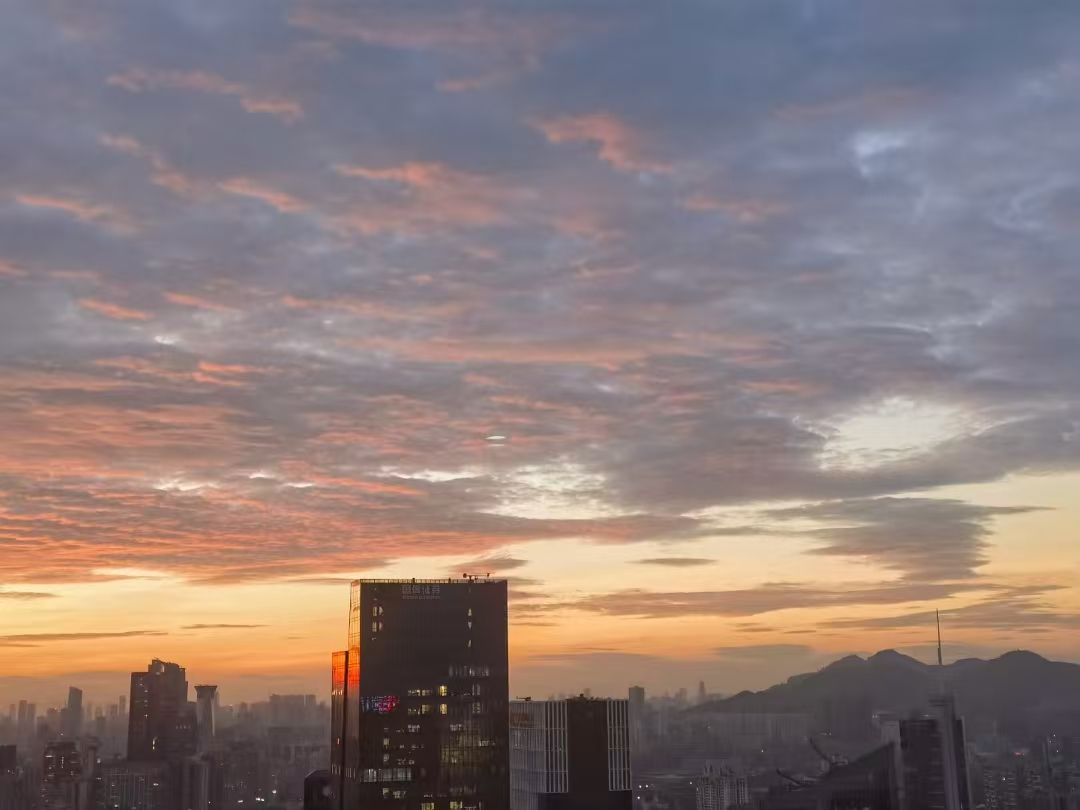 总部窗外深圳天际线